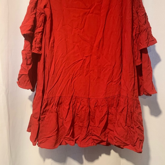 Plus Sized Ruffle Sleeved Rust Dress NWT - Picture 6 of 7